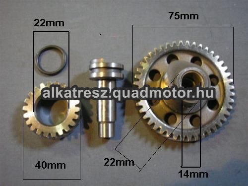3326-Vezérmű fogaskerék 200-250cc Zongshen vezérmű fogaskerék szett - Image 1